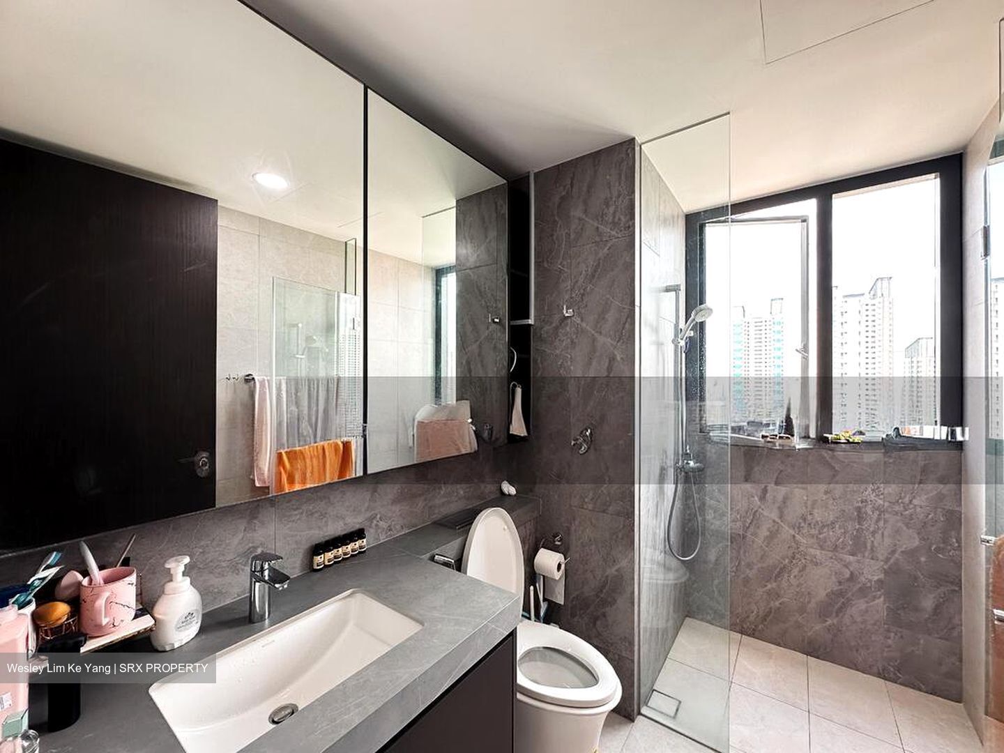 Parc Clematis (D5), Apartment #498696091